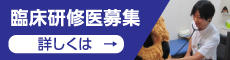臨床研修医募集